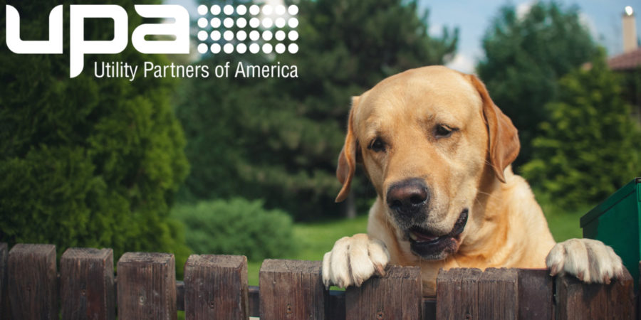Read more about the article Dogs on Customer Property: Keeping Technicians Safe